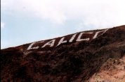 Calico Sign on Mountain